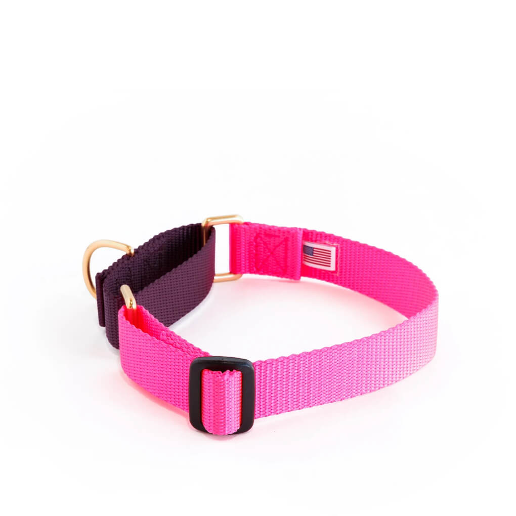 Dog + Bone Martingale Collar | Hot Pink + Purple - Vanillapup Online Pet Store