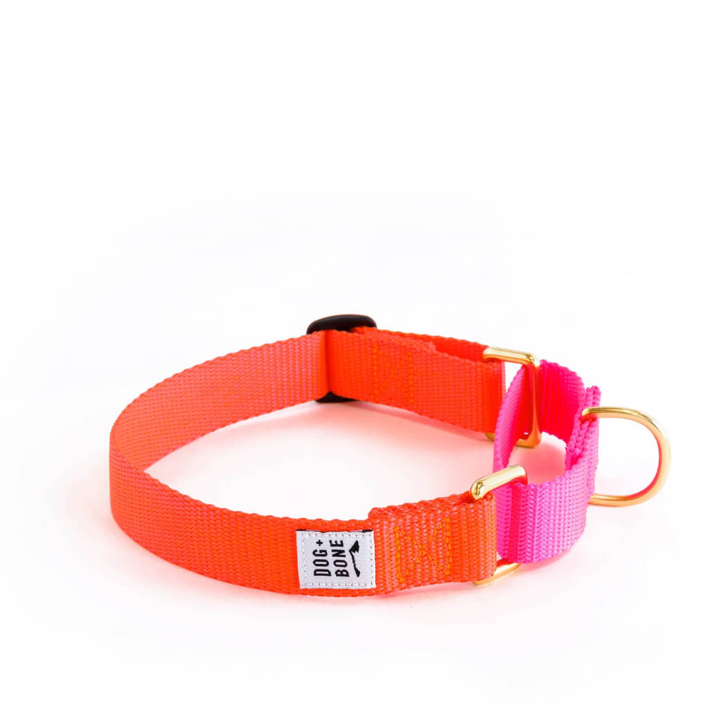 Dog + Bone Martingale Collar | Lava & Hot Pink - Vanillapup Online Pet Store