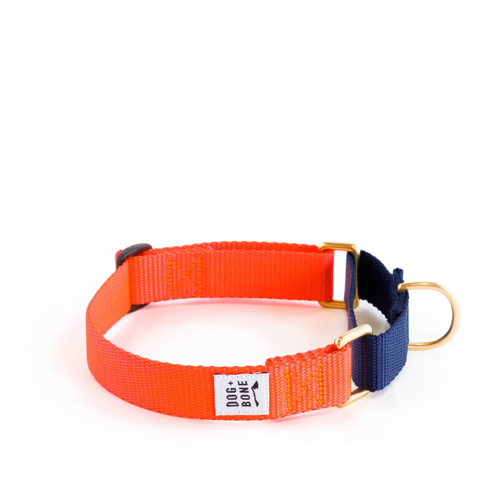Dog + Bone Martingale Collar | Lava & Navy - Vanillapup Online Pet Store