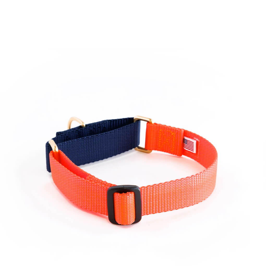Dog + Bone Martingale Collar | Lava & Navy - Vanillapup Online Pet Store