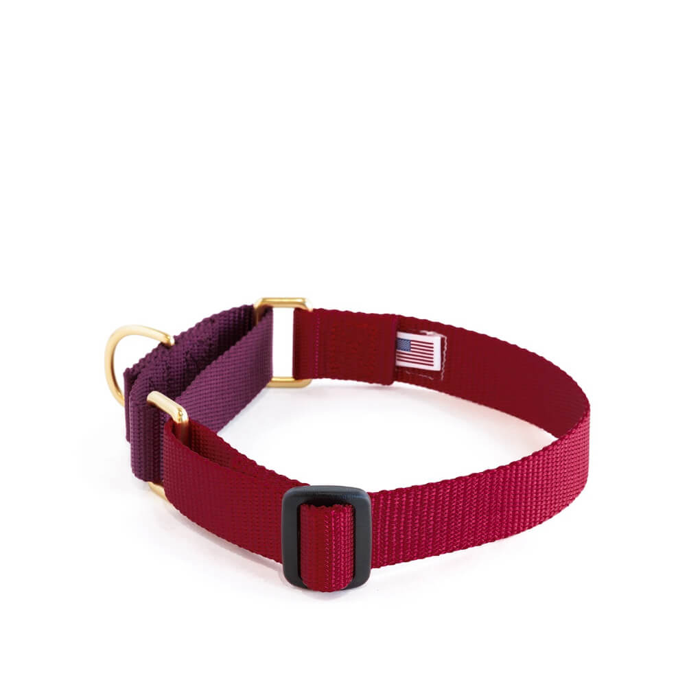 Dog + Bone Martingale Collar | Merlot & Purple - Vanillapup Online Pet Store