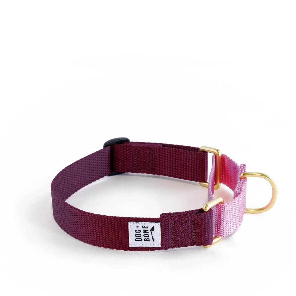 Dog + Bone Martingale Collar | Purple & Orchid - Vanillapup Online Pet Store