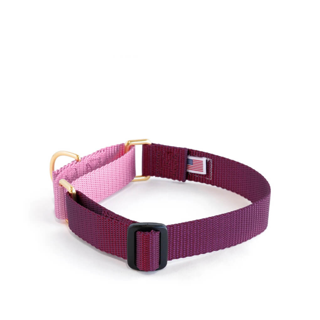 Dog + Bone Martingale Collar | Purple & Orchid - Vanillapup Online Pet Store