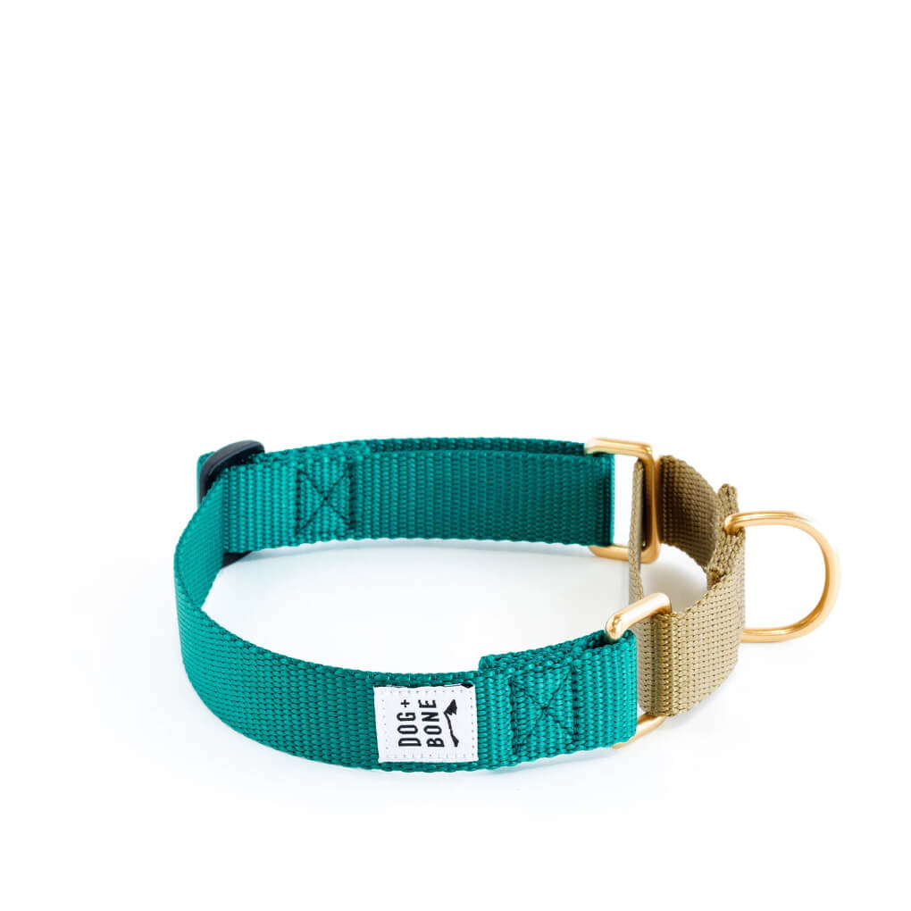 Dog + Bone Martingale Collar | Teal & Gold - Vanillapup Online Pet Store