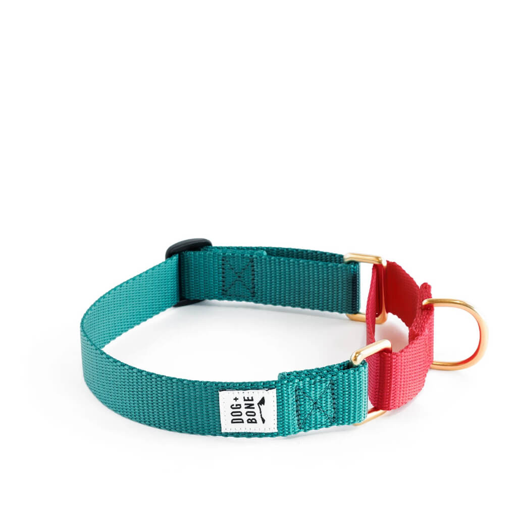 Dog + Bone Martingale Collar | Teal & Punch - Vanillapup Online Pet Store