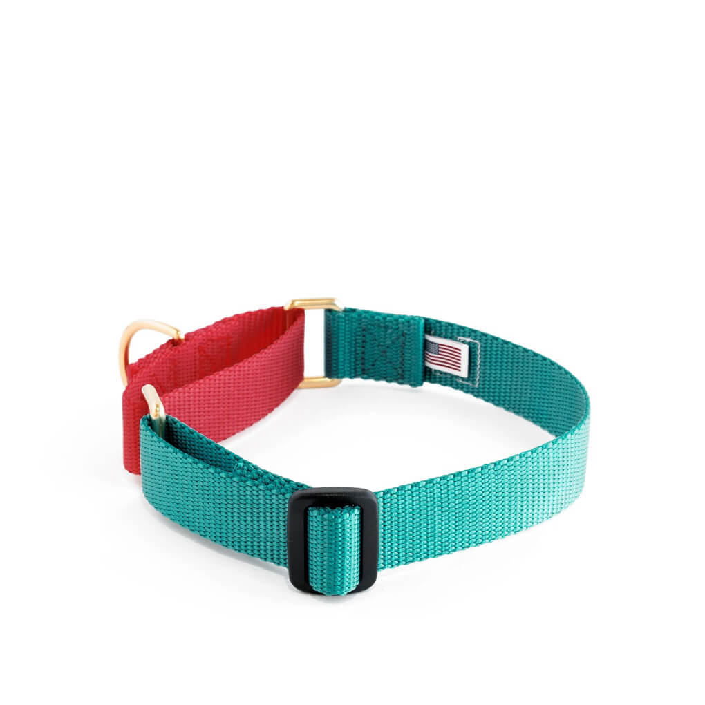 Dog + Bone Martingale Collar | Teal & Punch - Vanillapup Online Pet Store