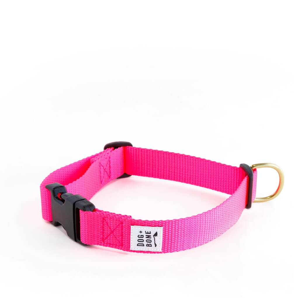 Dog + Bone Snap Collar | Hot Pink - Vanillapup Online Pet Store
