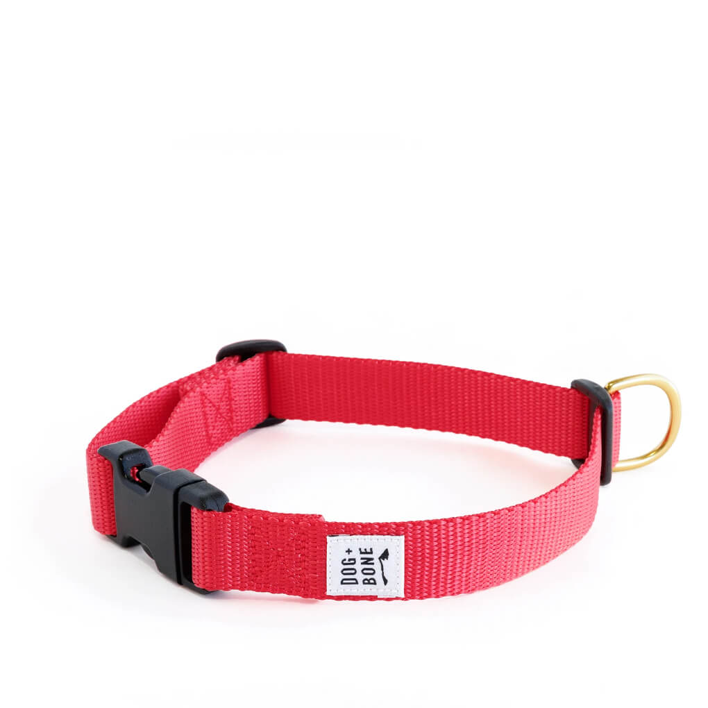 Dog + Bone Snap Collar | Punch - Vanillapup Online Pet Store