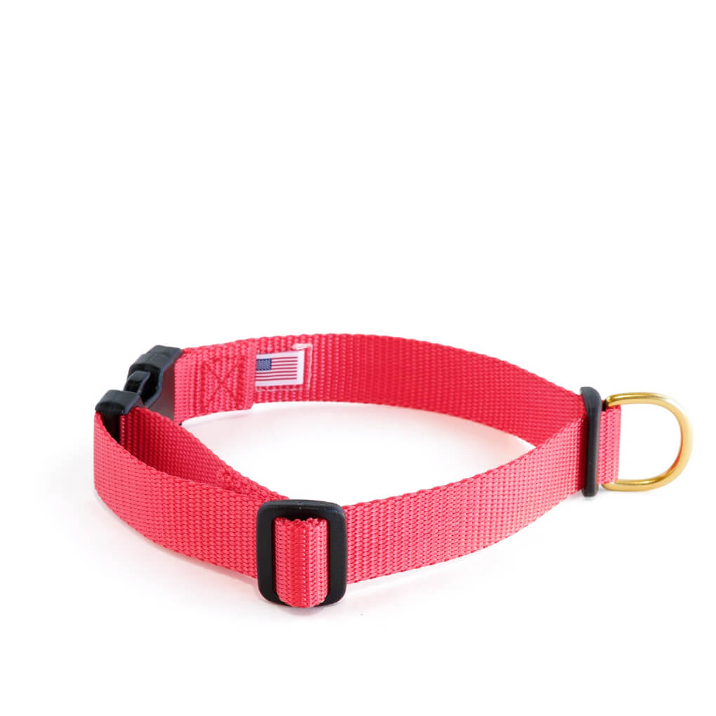 Dog + Bone Snap Collar | Punch - Vanillapup Online Pet Store