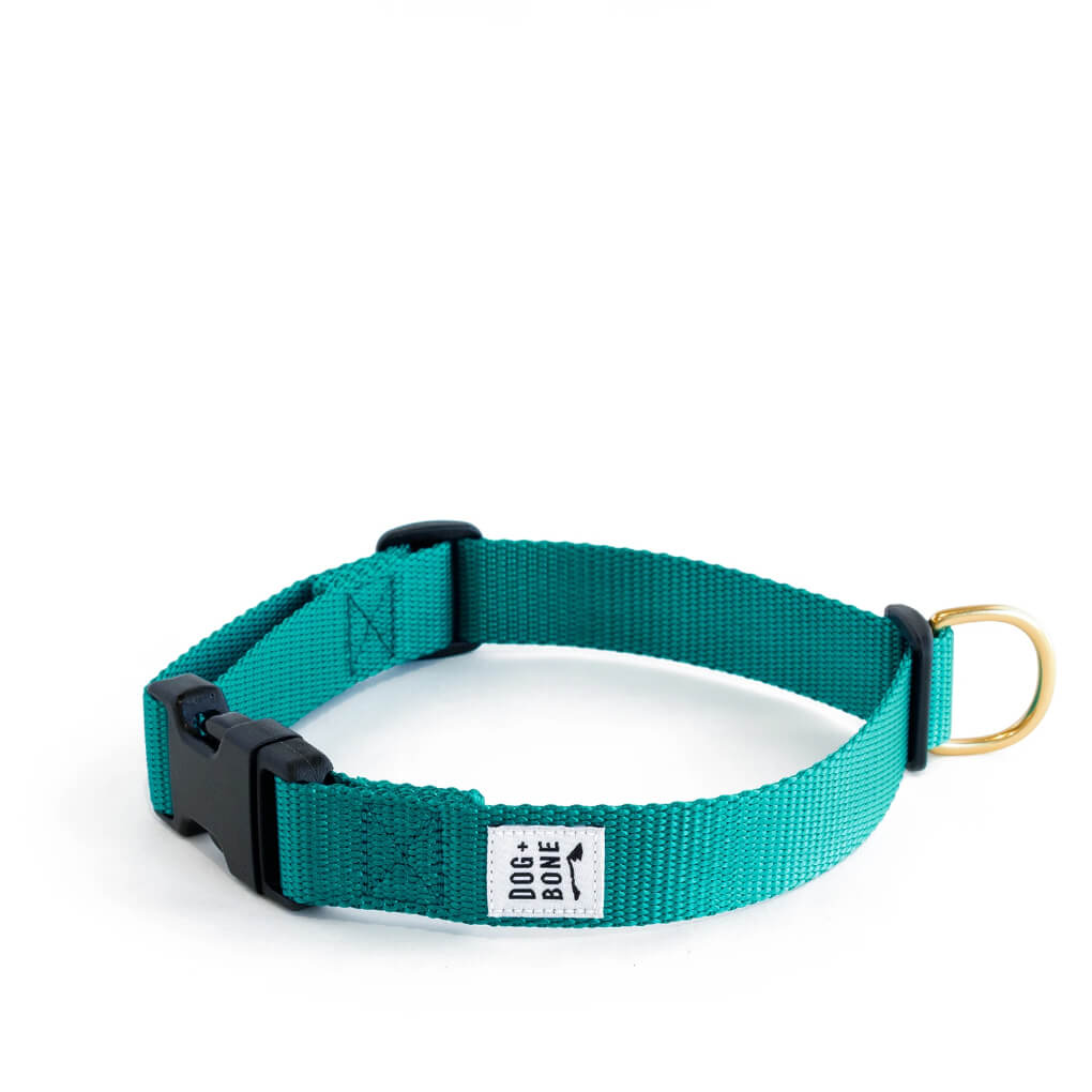 Dog + Bone Snap Collar | Teal - Vanillapup Online Pet Store