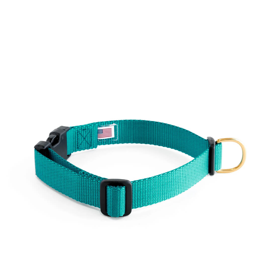 Dog + Bone Snap Collar | Teal - Vanillapup Online Pet Store