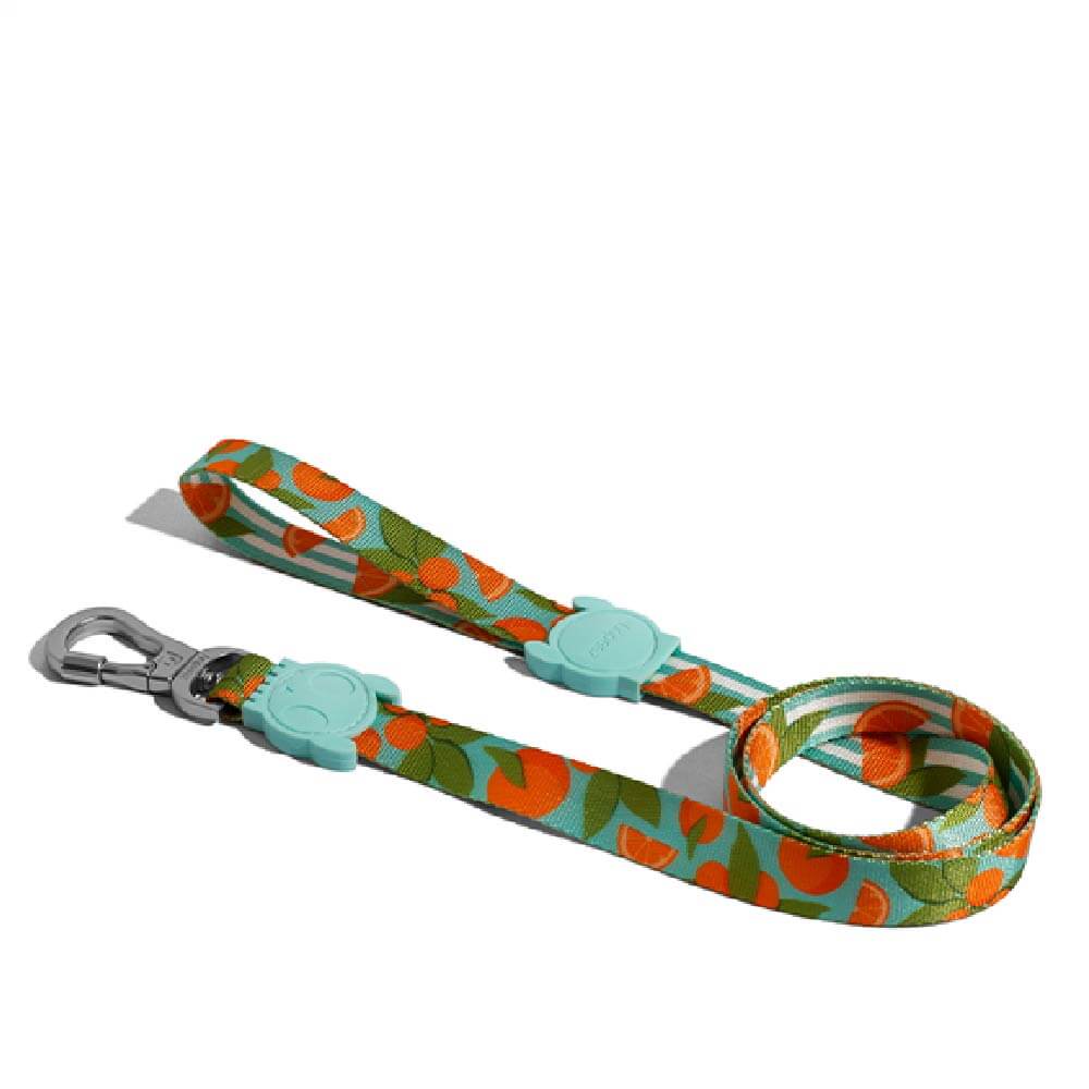 Zee.Dog Leash | Florida - Vanillapup Online Pet Store