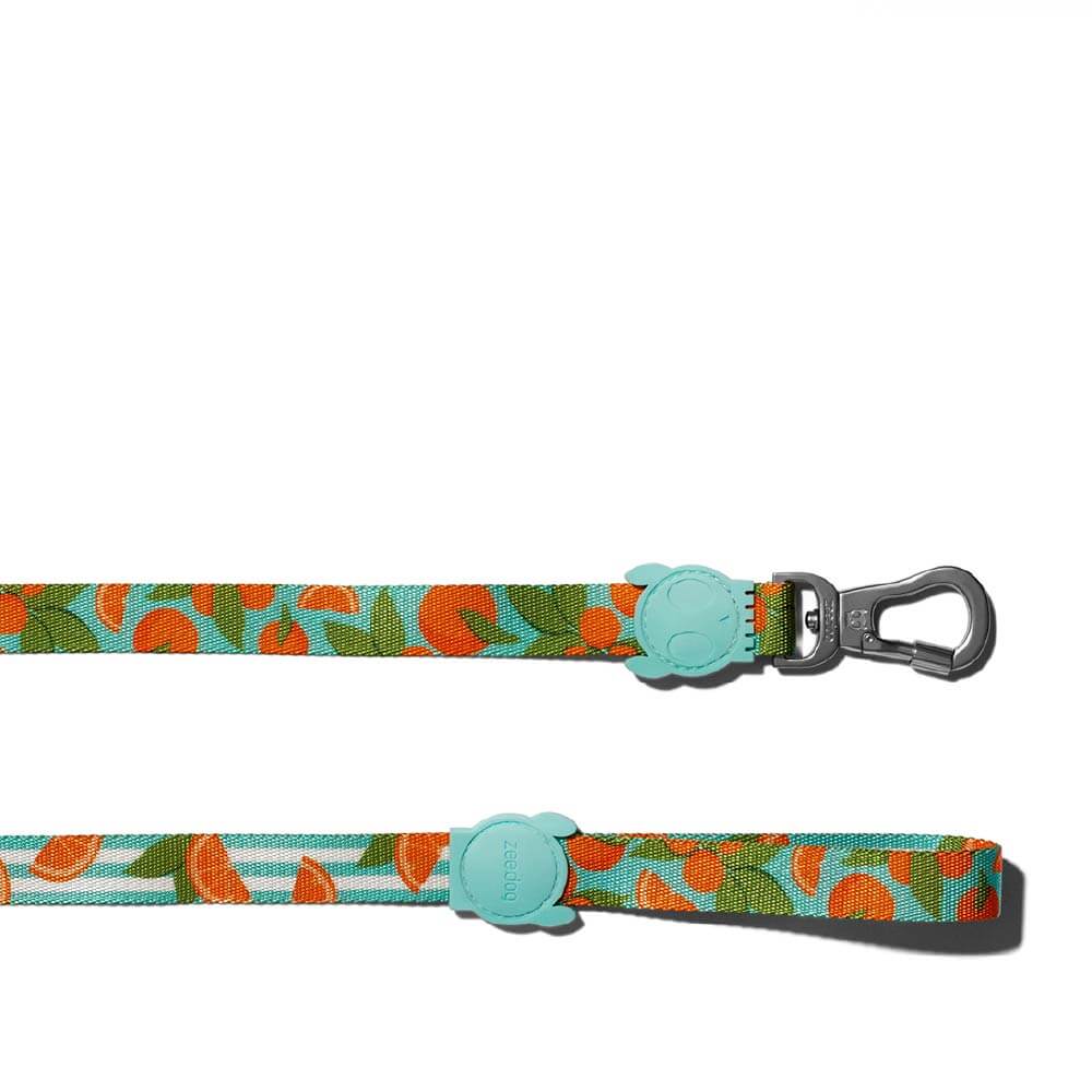 Zee.Dog Leash | Florida - Vanillapup Online Pet Store