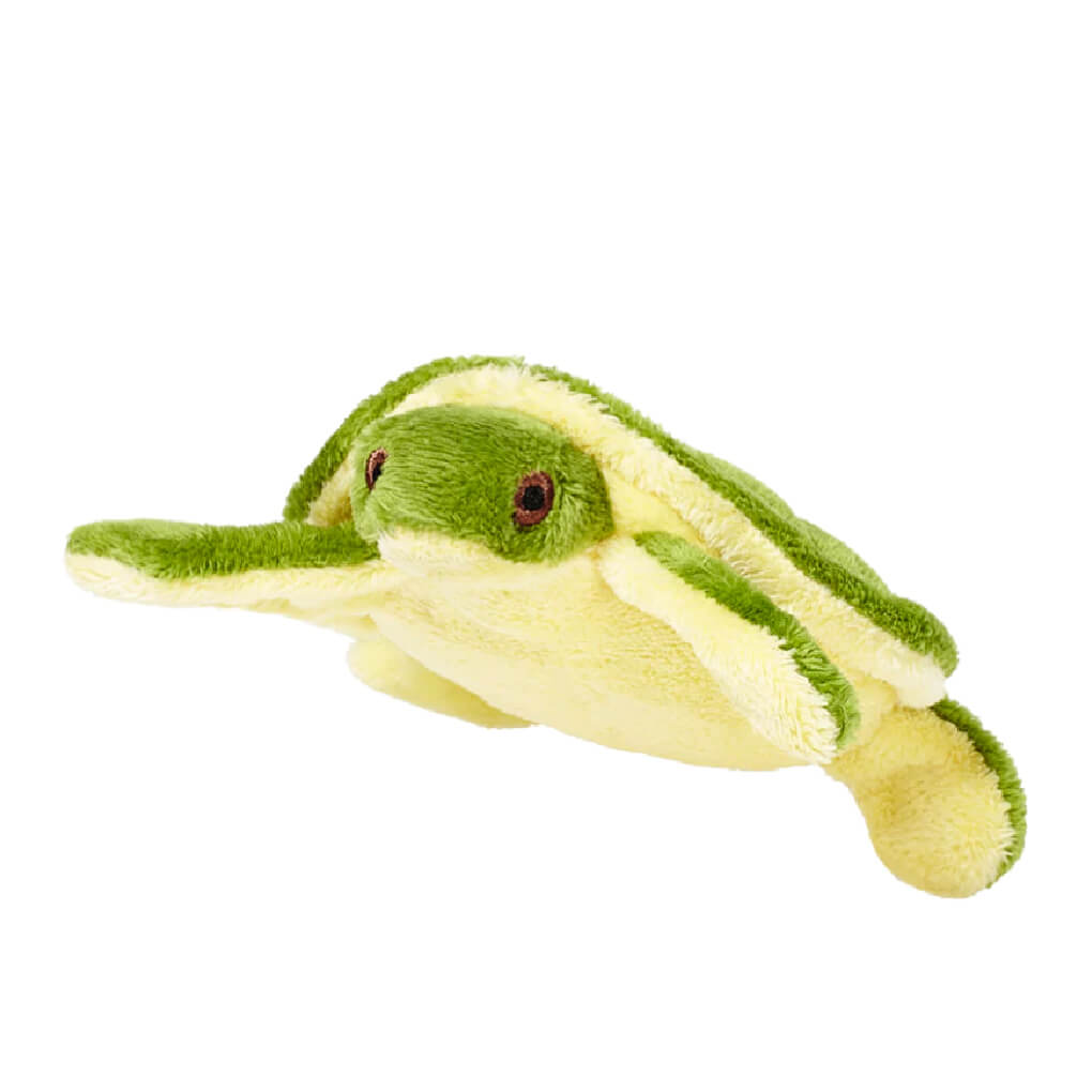 Fluff & Tuff Esmeralda the Turtle - Vanillapup Online Pet Store