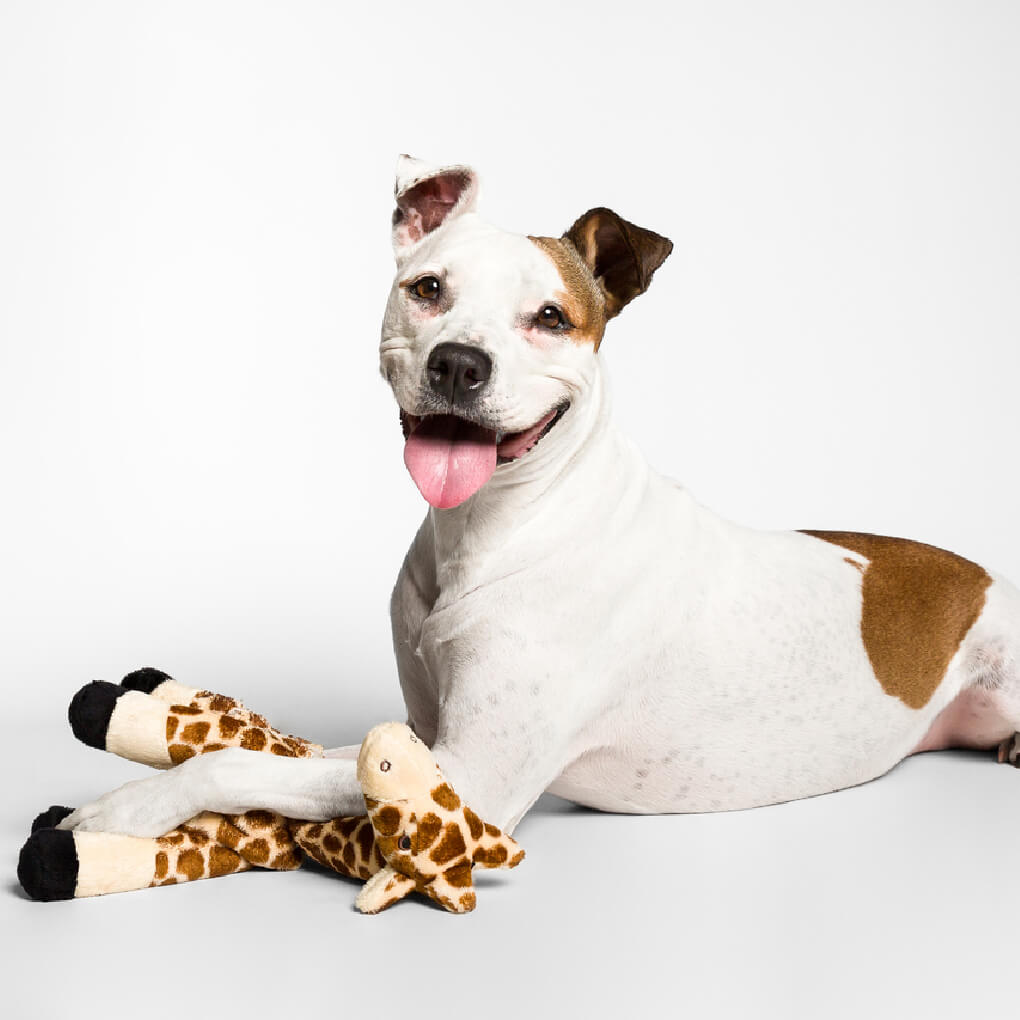 Fluff & Tuff Nelly Giraffe - Vanillapup Online Pet Store