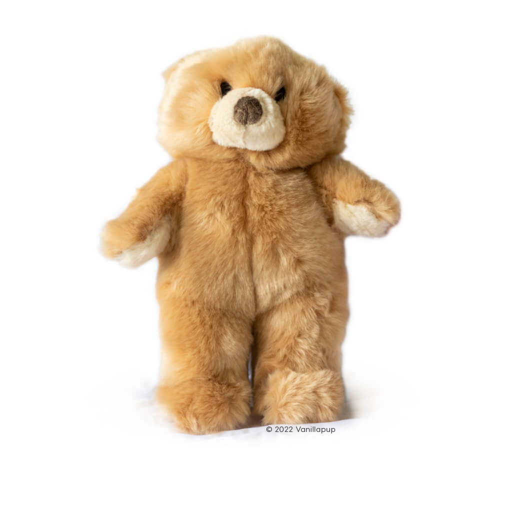 Fluff & Tuff Mr. Honey Bear - Vanillapup Online Pet Store
