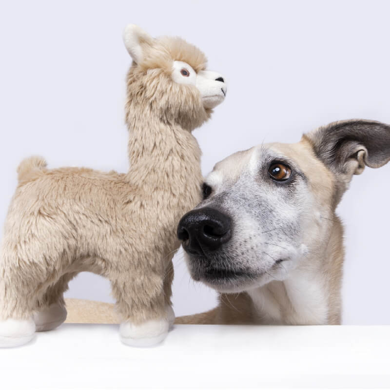 Fluff & Tuff Inca Alpaca - Vanillapup Online Pet Store