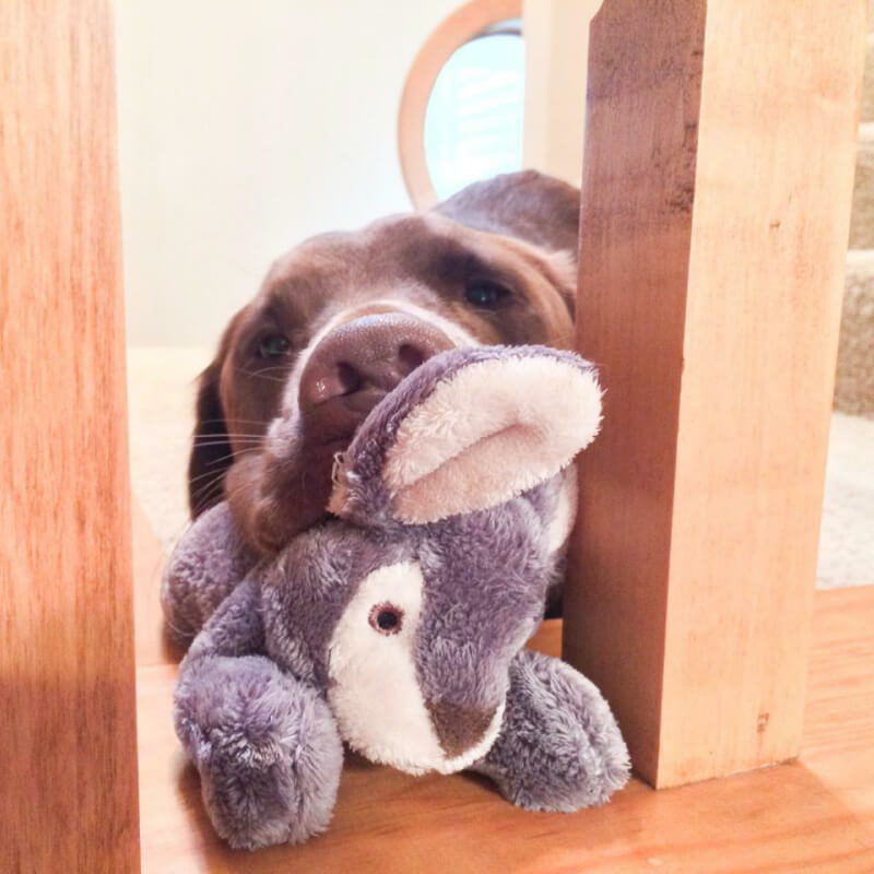 Fluff & Tuff Jessica Rabbit - Vanillapup Online Pet Store