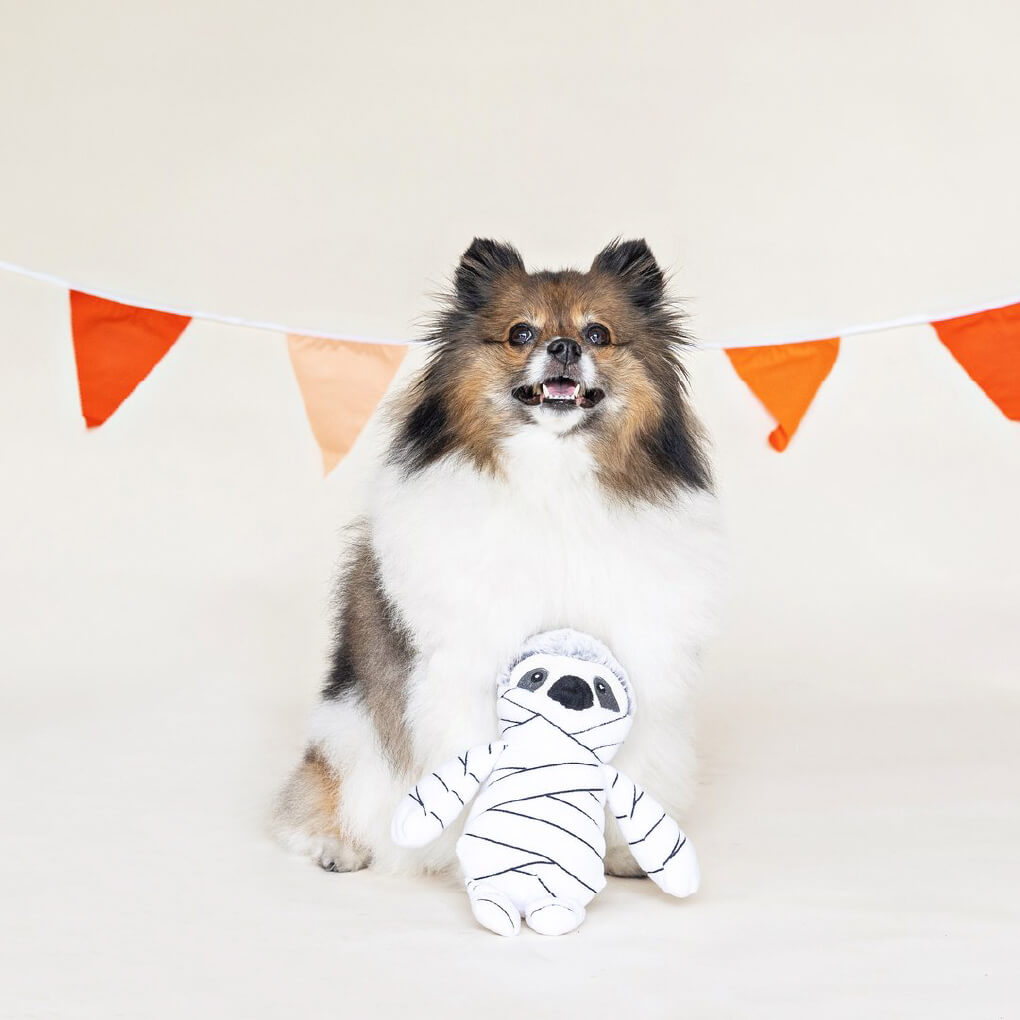 Fringe Studio Mummy Sloth - Vanillapup Online Pet Store
