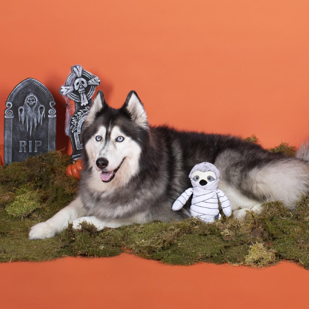 Fringe Studio Mummy Sloth - Vanillapup Online Pet Store