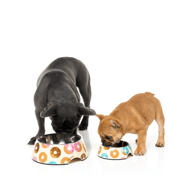 FuzzYard Go Nuts about Donuts Easy Feeder Bowl - Vanillapup Online Pet Store