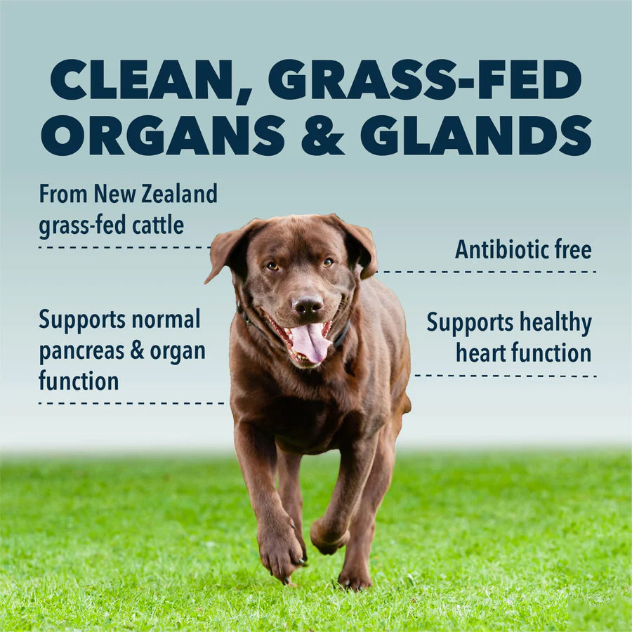 Four Leaf Rover Guts & Glory | Grass-fed Organs for Dogs