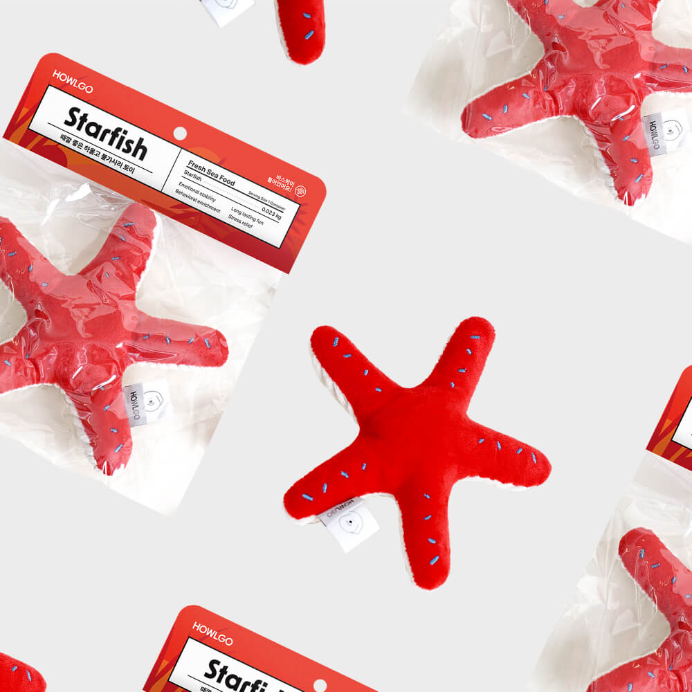 HOWLGO Starfish Crinkly Toy