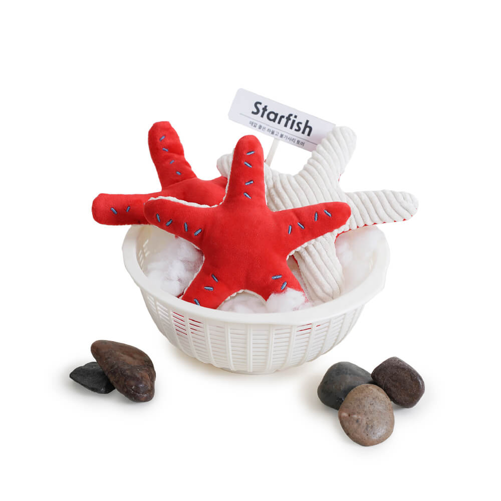 HOWLGO Starfish Crinkly Toy