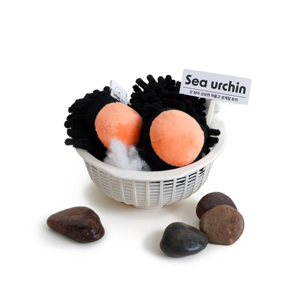 HOWLGO Sea Urchin Squeaky Toy