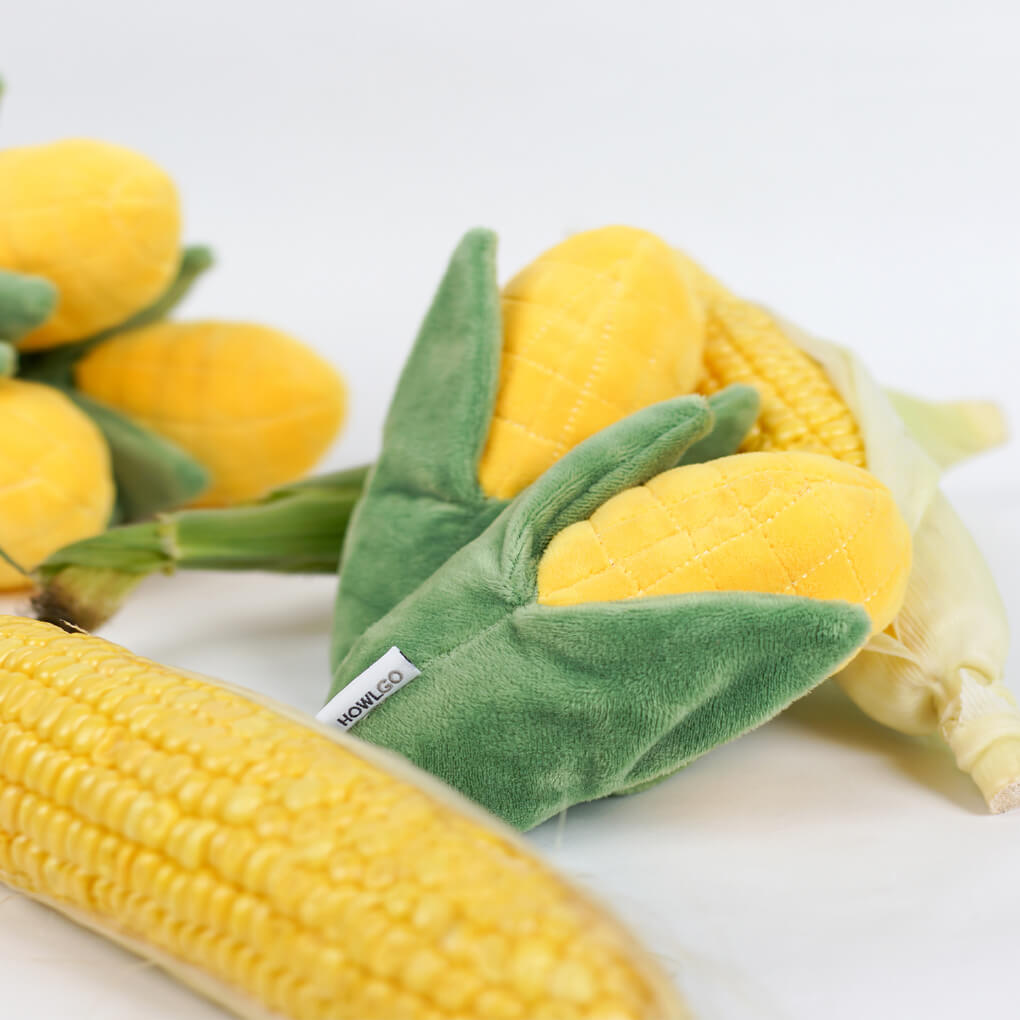 HOWLGO Corn Nose Work Toy - Vanillapup Online Pet Store