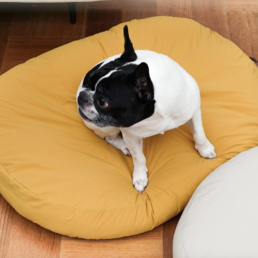 HOWLPOT Cooling Cushion Bed