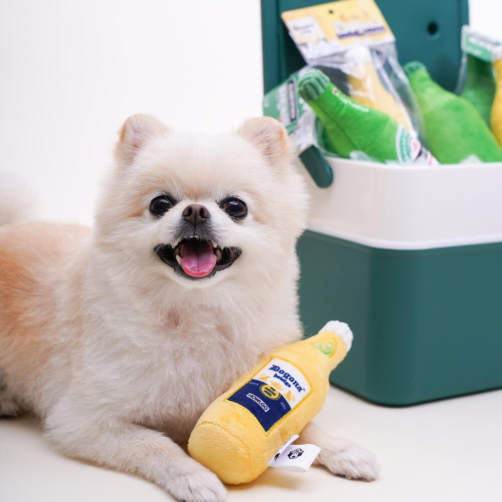 HOWLGO Squeaky Beer Toy