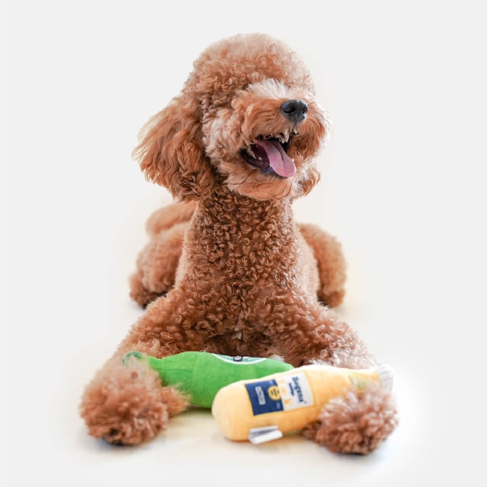 HOWLGO Squeaky Beer Toy