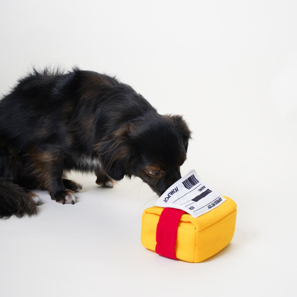 HOWLPOT Express Nose Work Toy