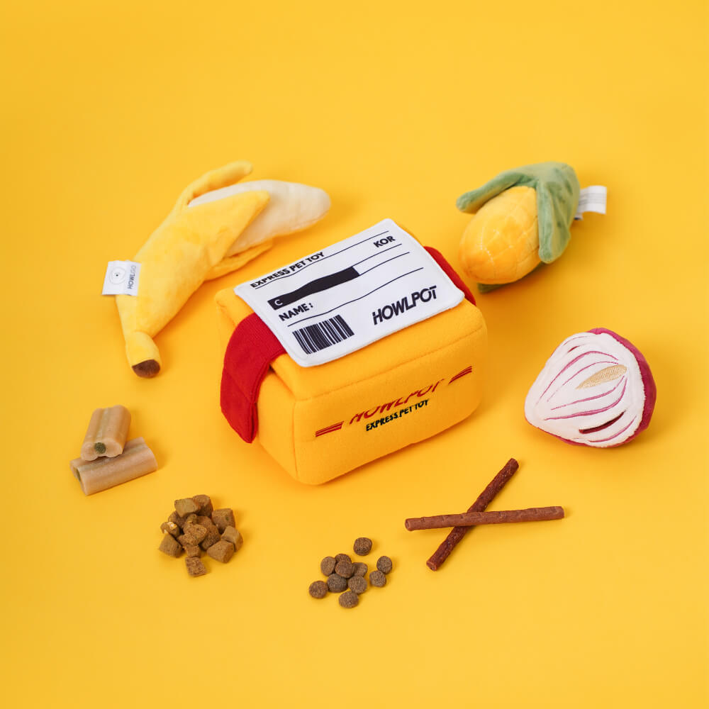 HOWLPOT Express Nose Work Toy