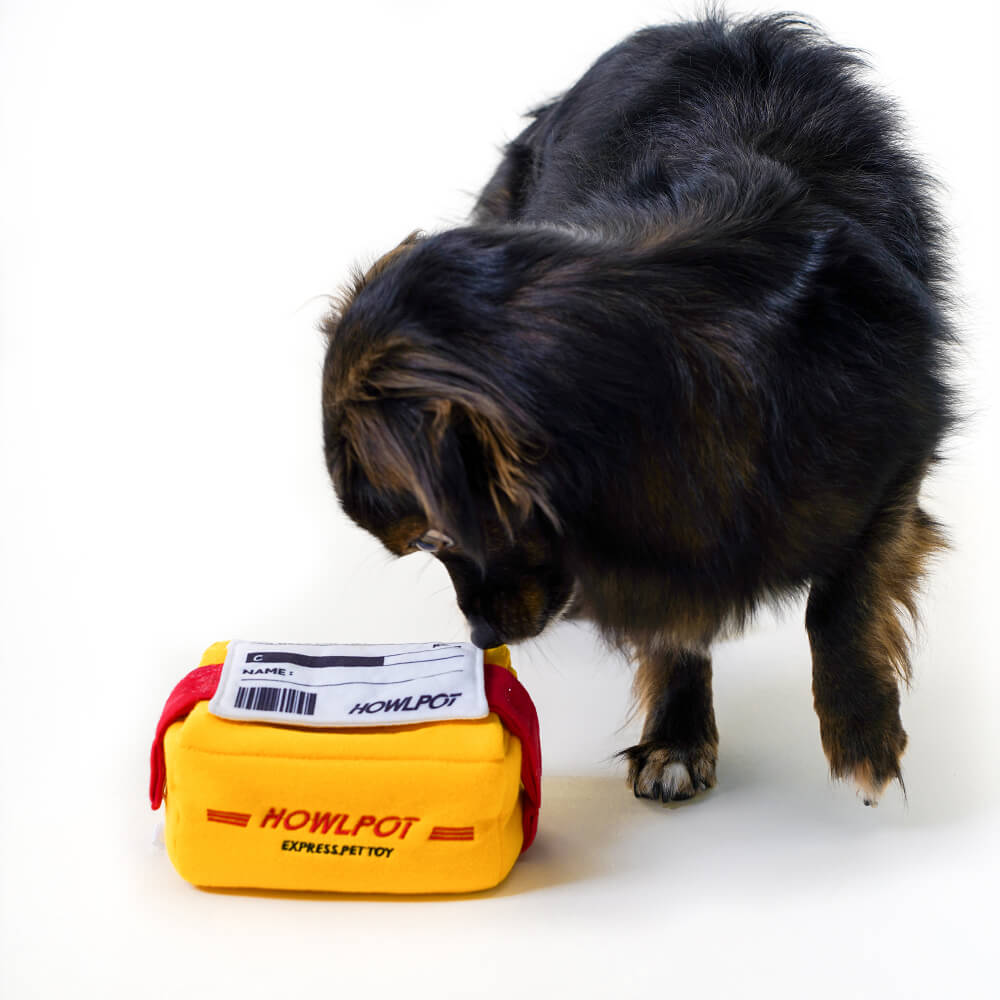 HOWLPOT Express Nose Work Toy
