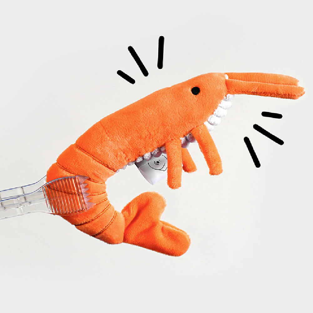 HOWLGO Shrimp Crinkly Toy