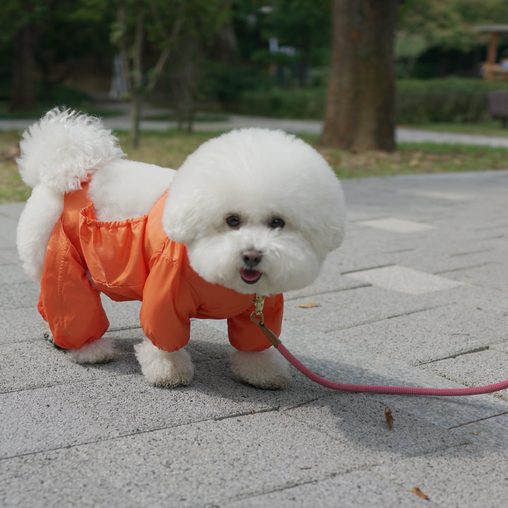 Howlpot Lightweight Walking Suit - Vanillapup Online Pet Store