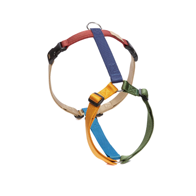 Haqihana Multicolour Harness - Vanillapup Online Pet Store