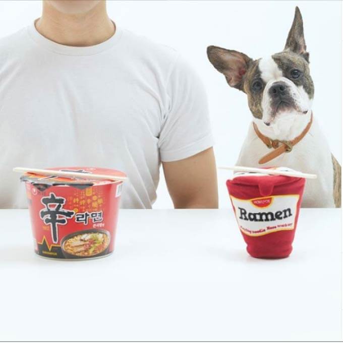 HOWLPOT Ramen Nose Work Toy - Vanillapup Online Pet Store