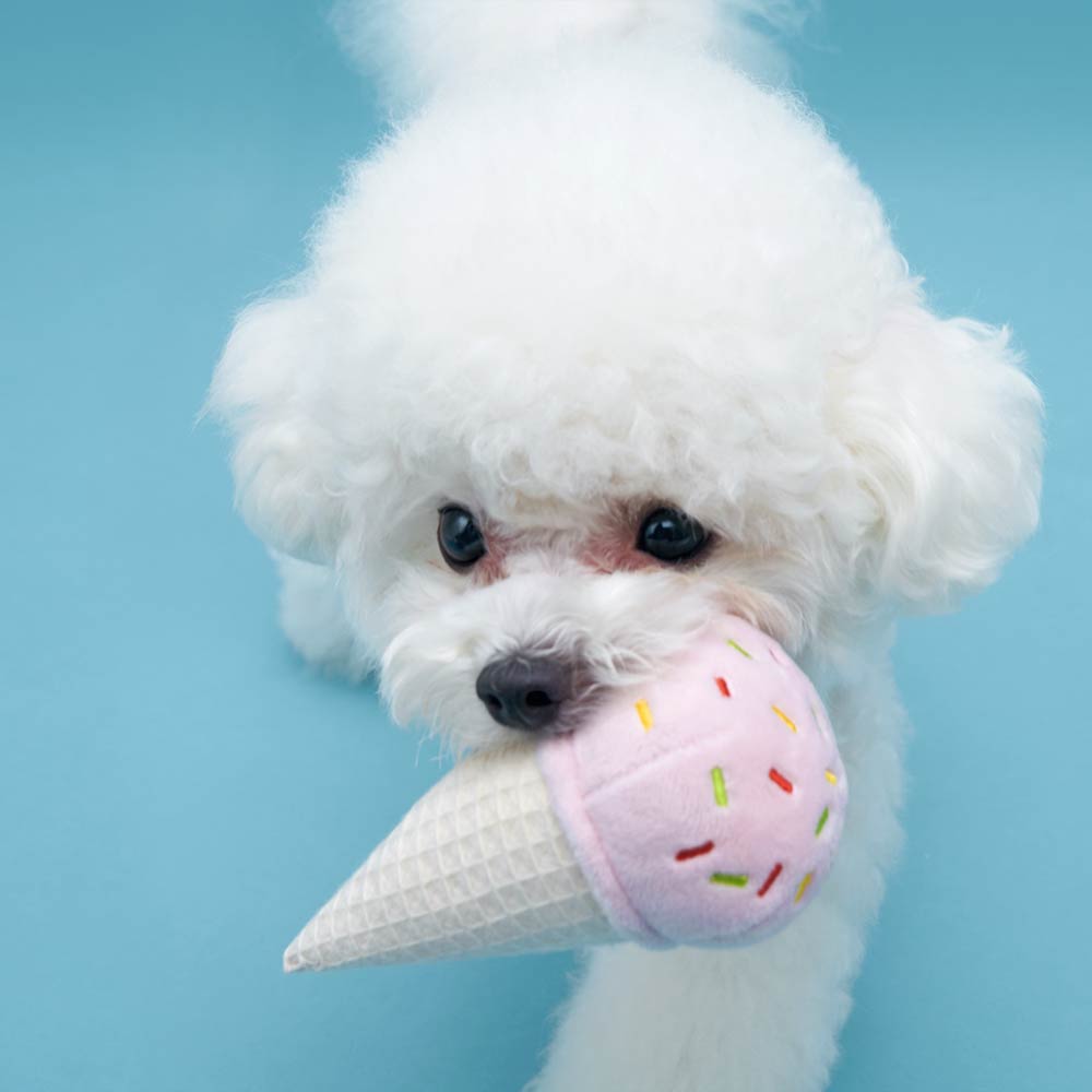HOWLGO Ice Cream Cone Crinkle Toy - Vanillapup Online Pet Store