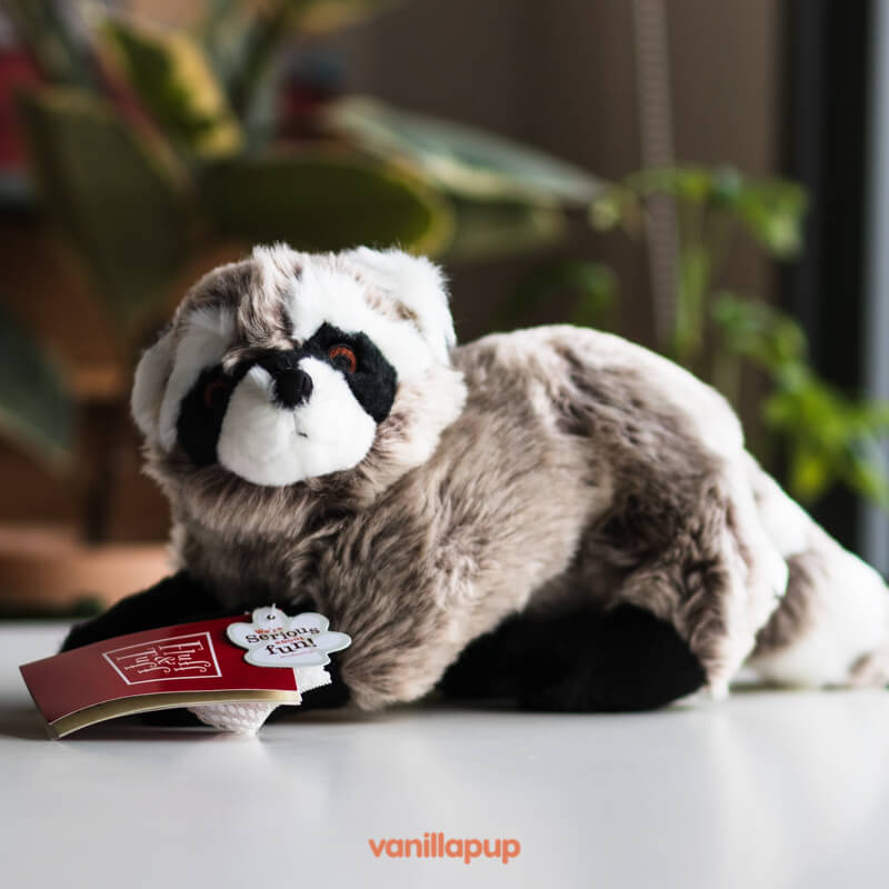 Fluff & Tuff Rocket Raccoon - Vanillapup Online Pet Store