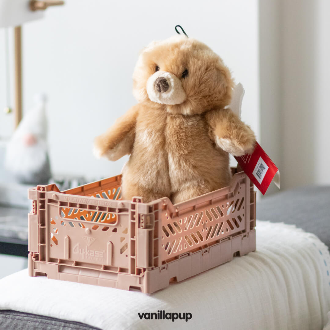 Fluff & Tuff Mr. Honey Bear - Vanillapup Online Pet Store