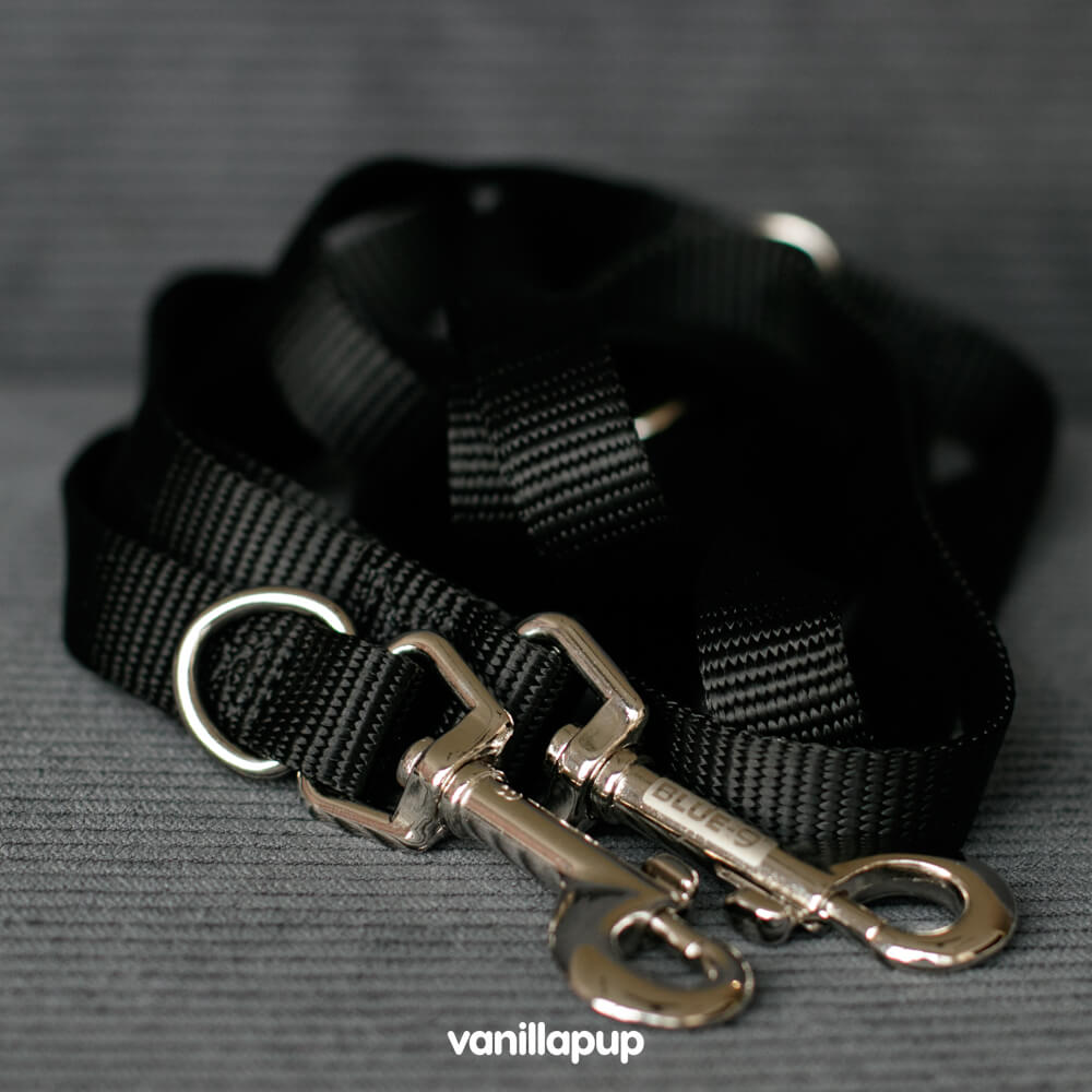 Blue-9 Multi-Function Leash