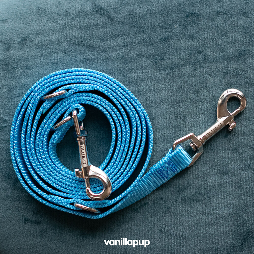 Blue-9 Multi-Function Leash