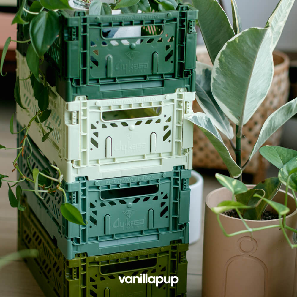 Aykasa Minibox Crate | Sage - Vanillapup Online Pet Store