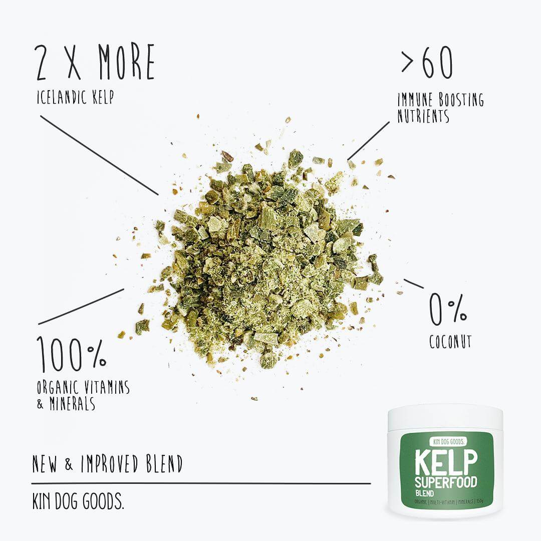 Kin Dog Goods Kelp Superfood Blend | 150g - Vanillapup Online Pet Store