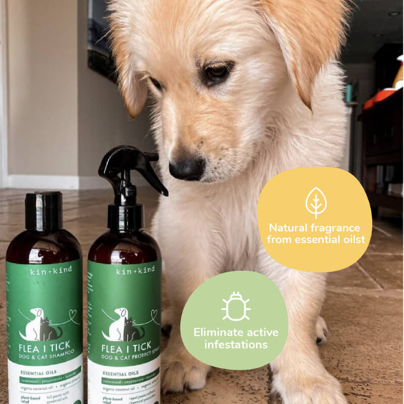 kin+kind Flea & Tick Shampoo | Lavender - Vanillapup Online Pet Store
