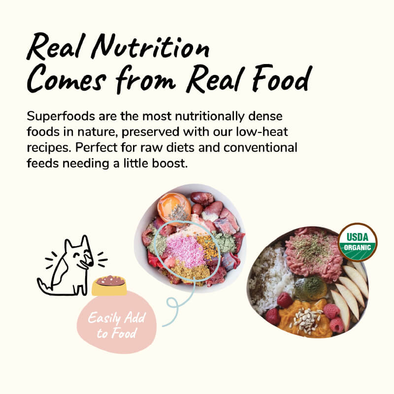 kin+kind Organic Raw Cold-pressed Coconut Oil - Vanillapup Online Pet Store
