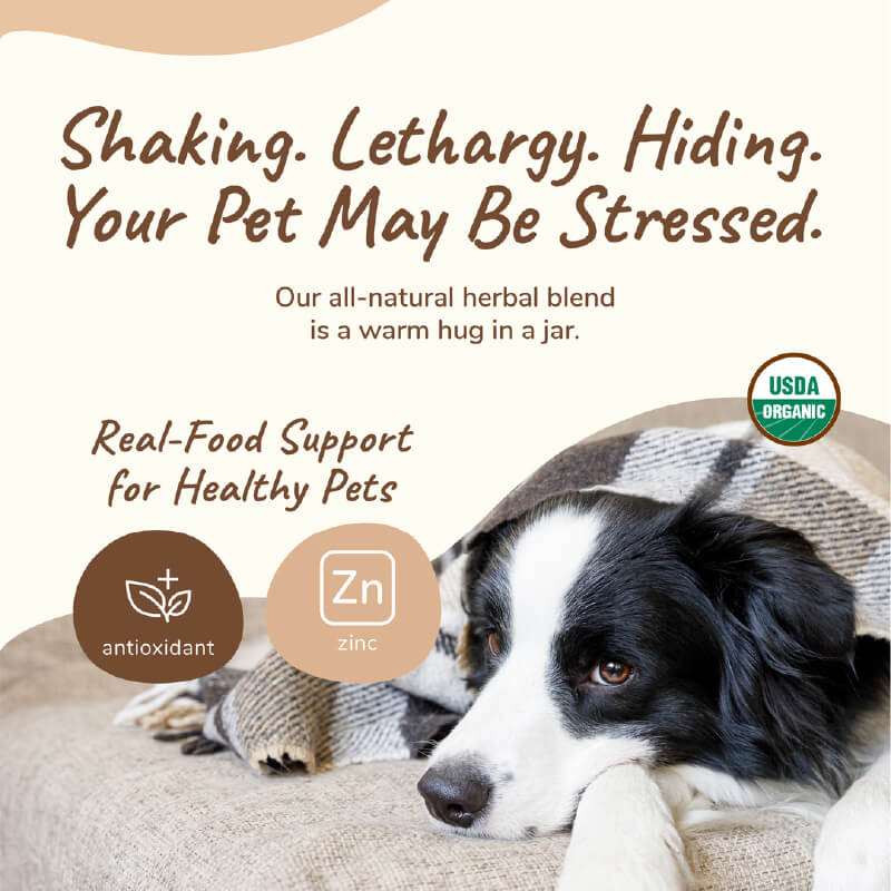 kin+kind Organic Healthy Calm Supplement - Vanillapup Online Pet Store